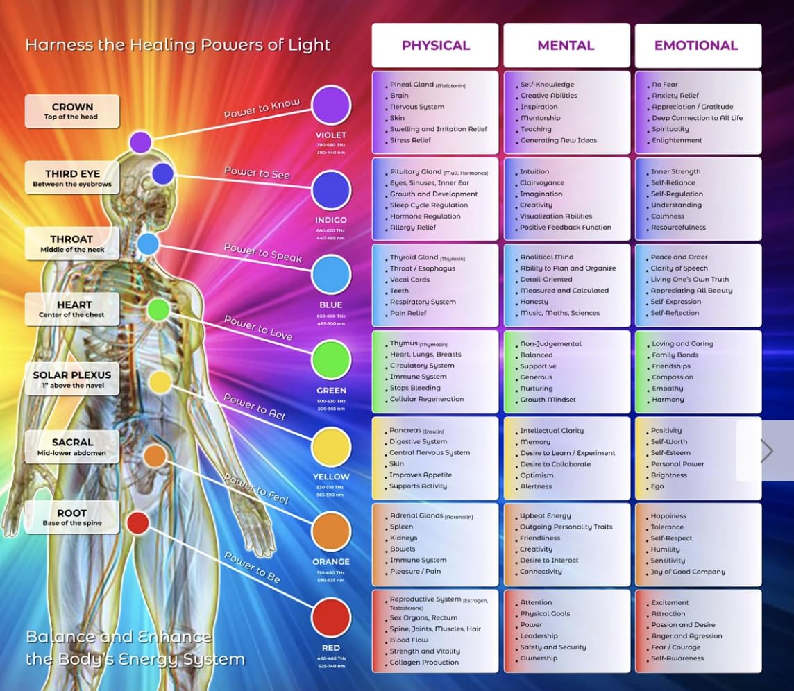 Amazon.com: Bioptron Compact 3 by Zepter Colour Therapy Set ONLY